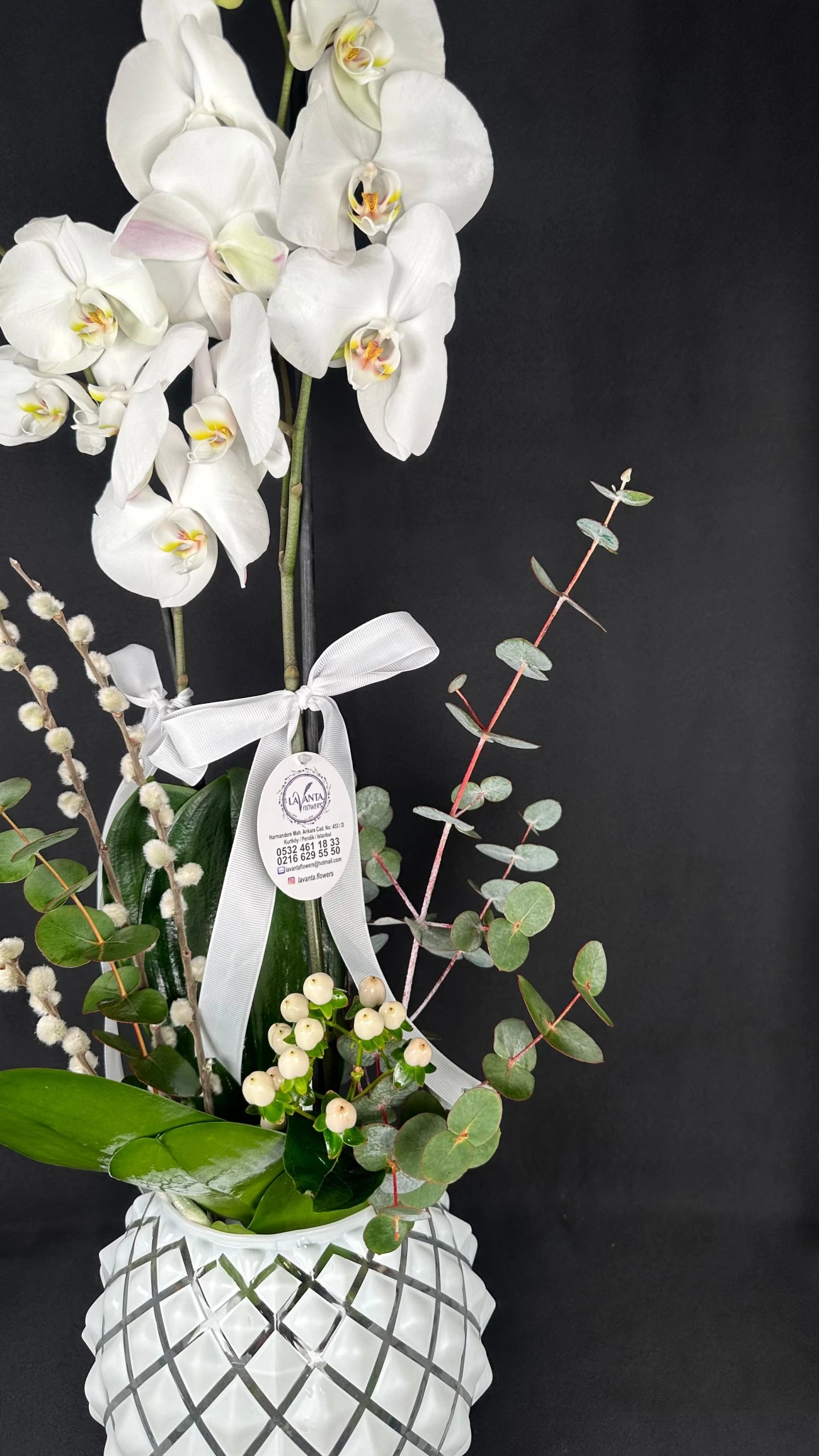 Saflık Dokunuşu Beyaz Orkide