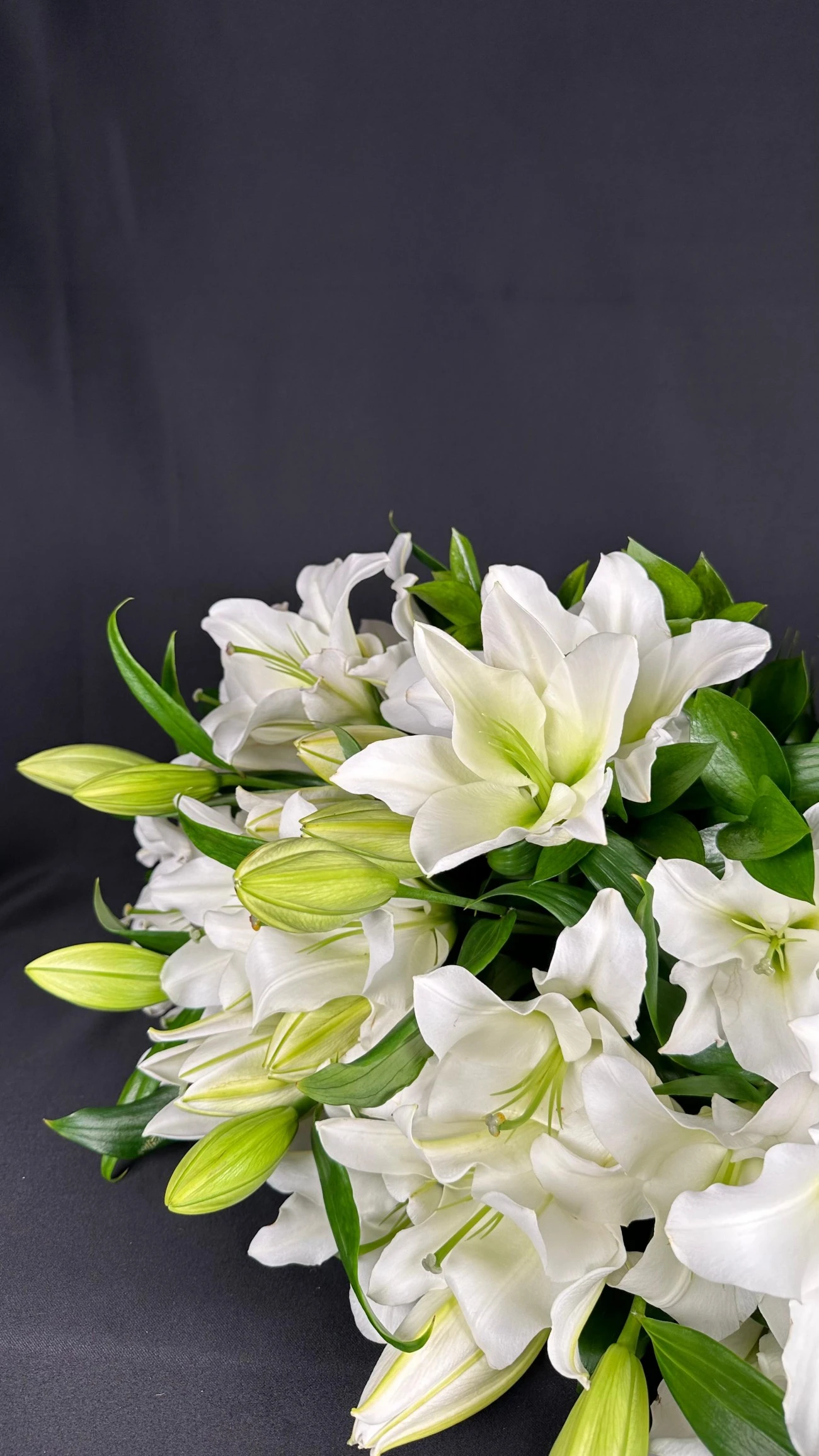 Beyaz Zambak Zarafeti