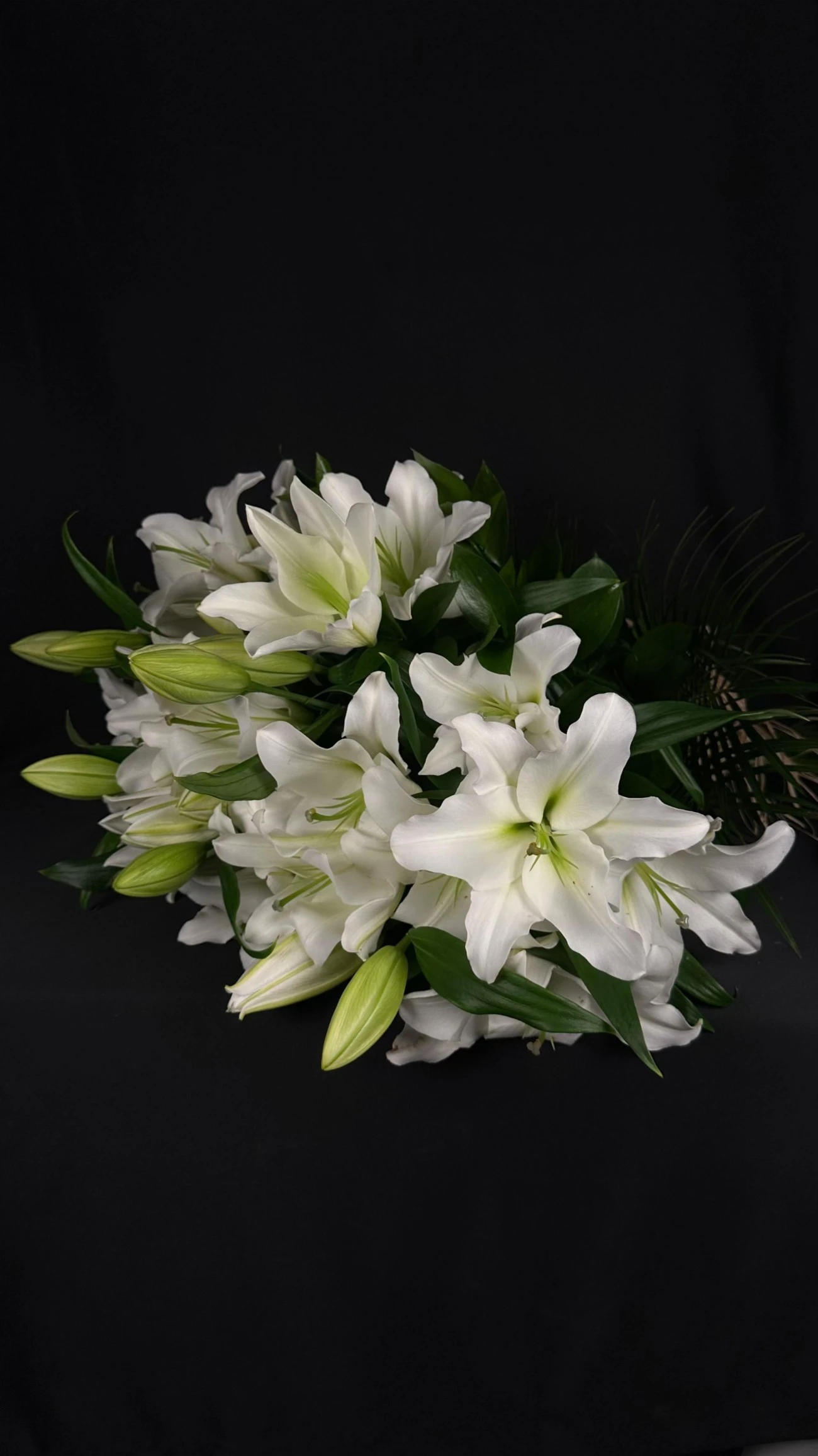 Beyaz Zambak Zarafeti