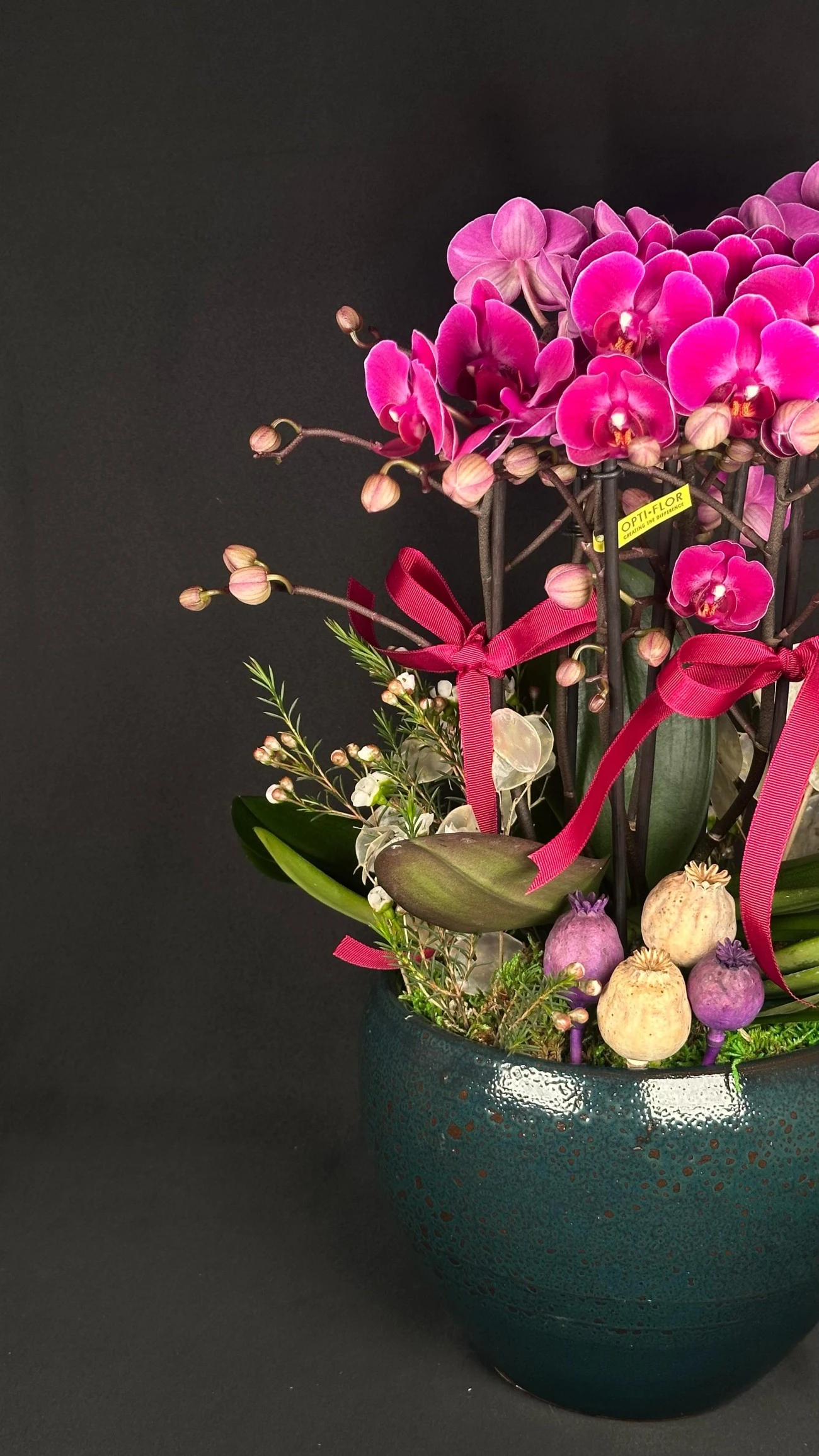 Gizemli Zarafet Mor Orkide Aranjmanı