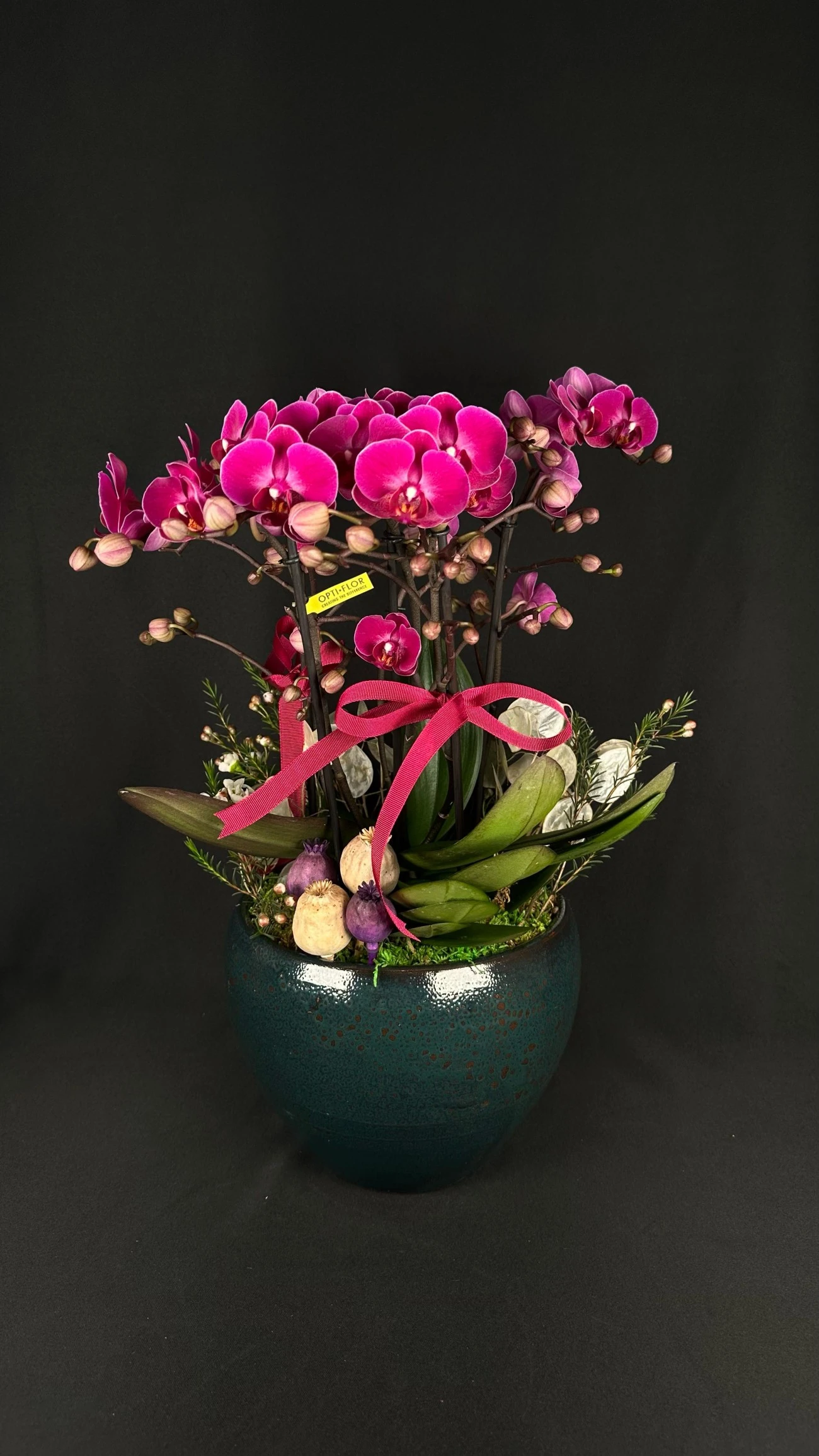 Gizemli Zarafet Mor Orkide Aranjmanı