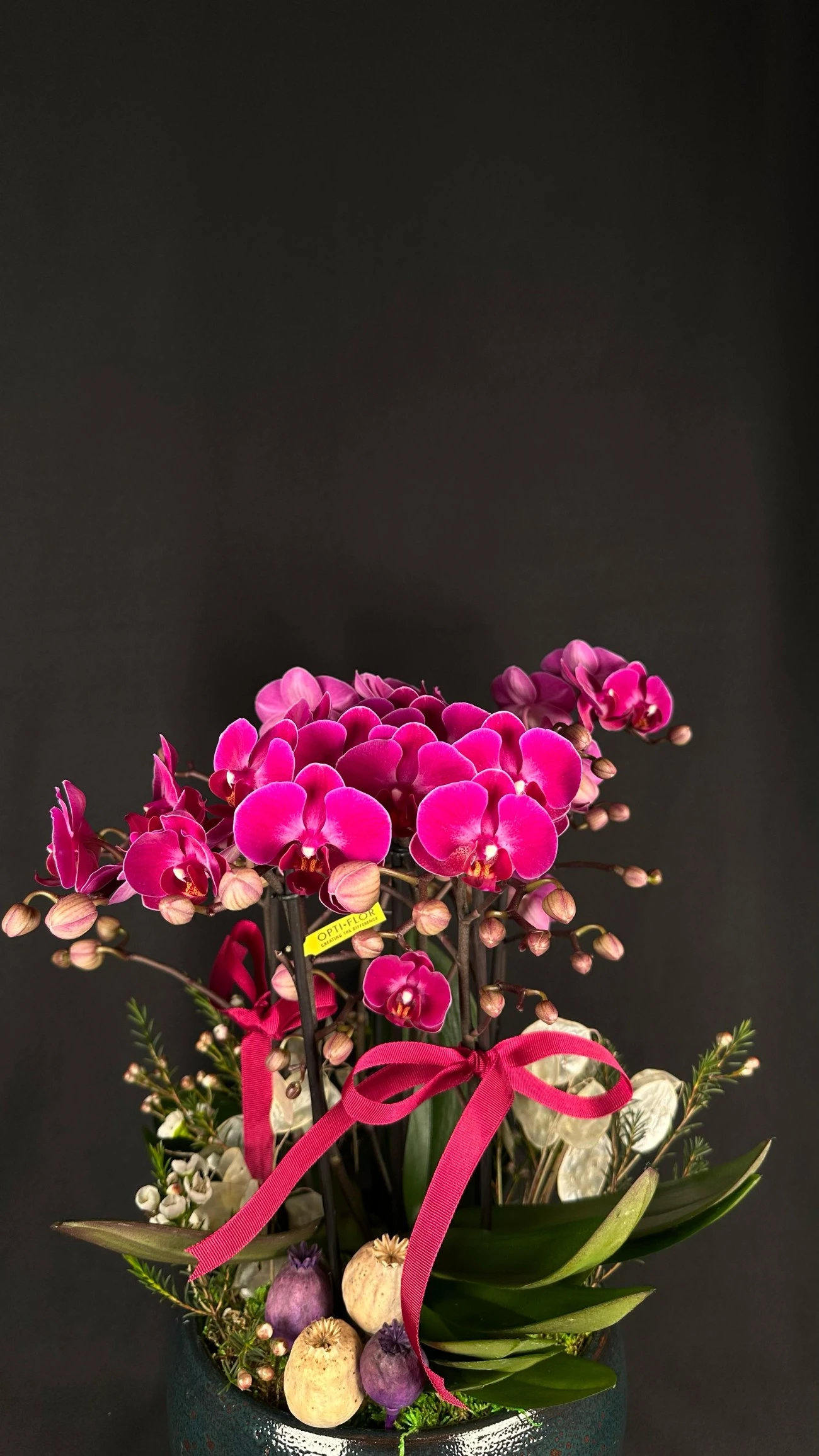 Gizemli Zarafet Mor Orkide Aranjmanı